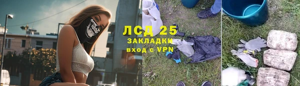 спайс Богданович