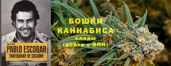 спайс Богданович