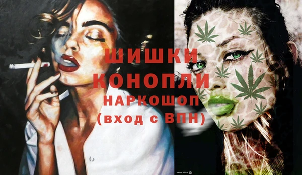 соль ск Богородицк