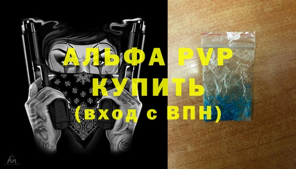 спайс Богданович