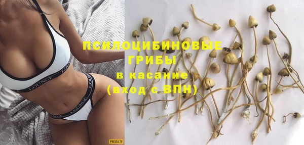 спайс Богданович