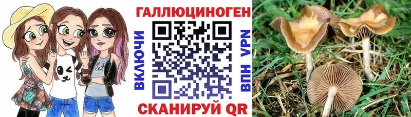 Купить закладки  Орск  Галлюциногенные грибы мицелий 
